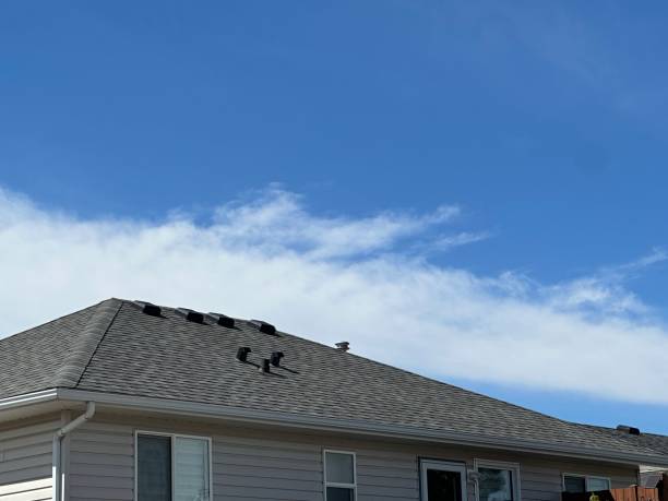 Best Roof Maintenance and Cleaning  in Spurgeon, TN